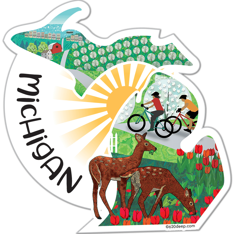 Michigan Loon