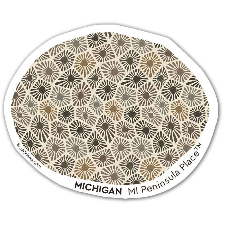 Petoskey Stone Natural