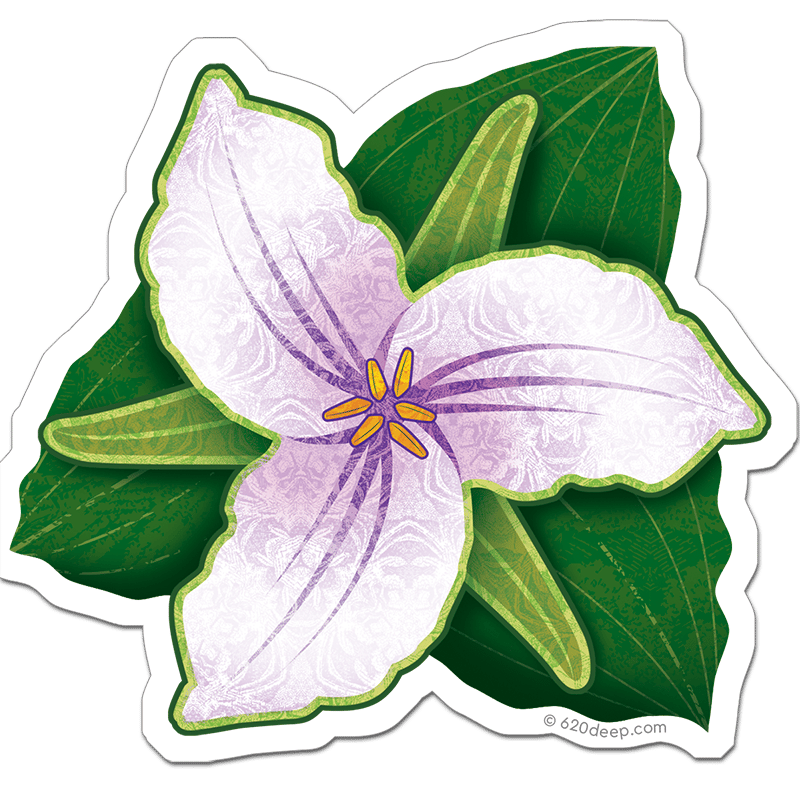 Trillium Flower