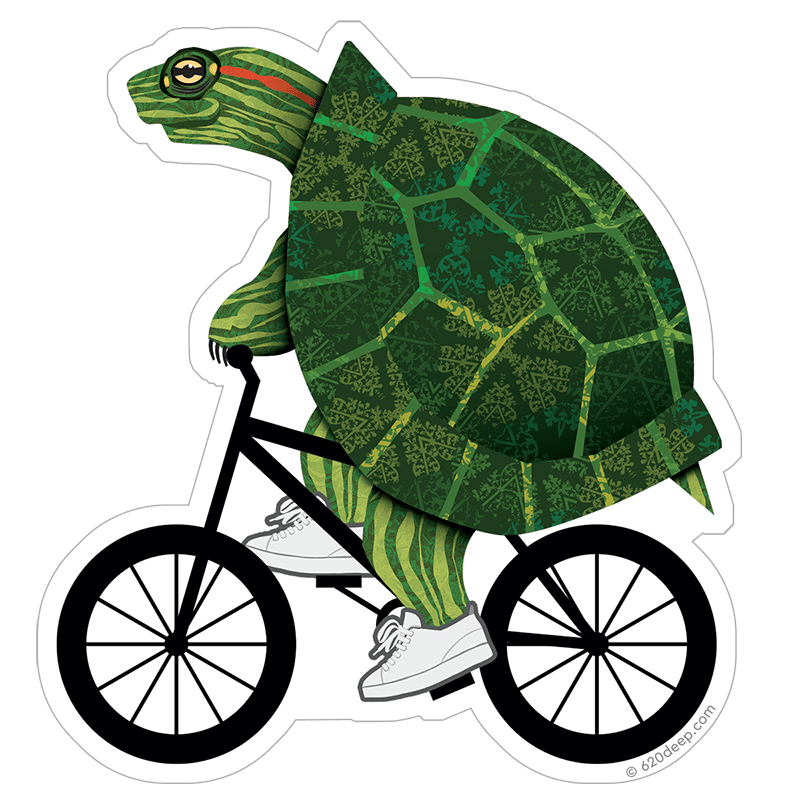 Biking Turtle (Generic)