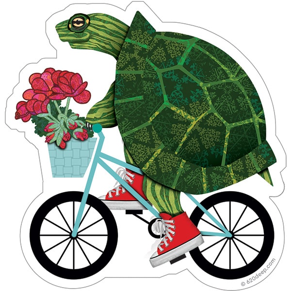 Biking Turtle Jane Sees More
