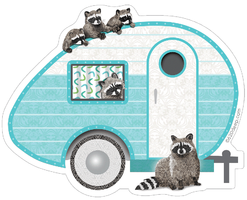 Camper Raccoons