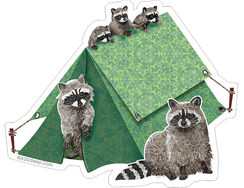 Raccoons and a tent