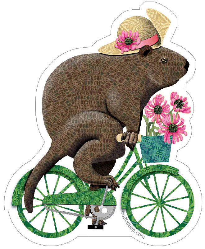 groundhog on a bike