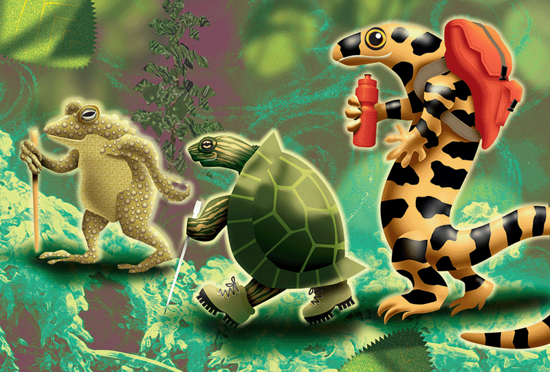 TakeAHikeMicropuzzle