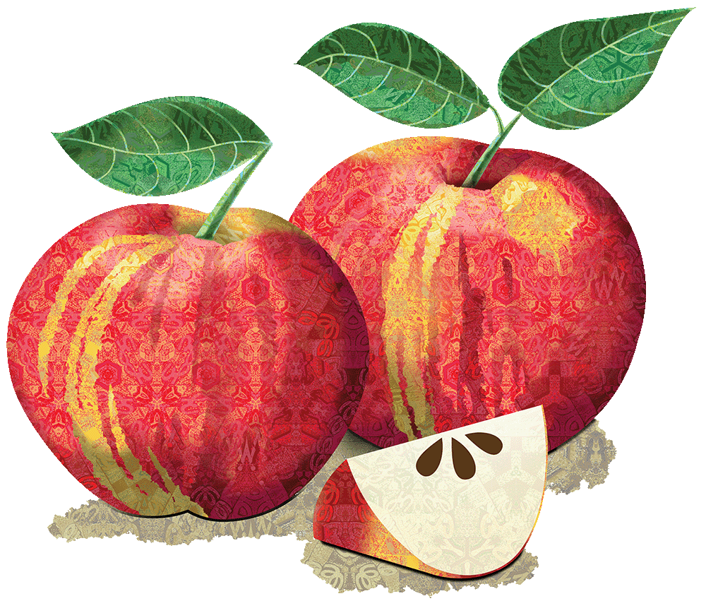 HNYPPL-3apples Honeycrisp Apples
