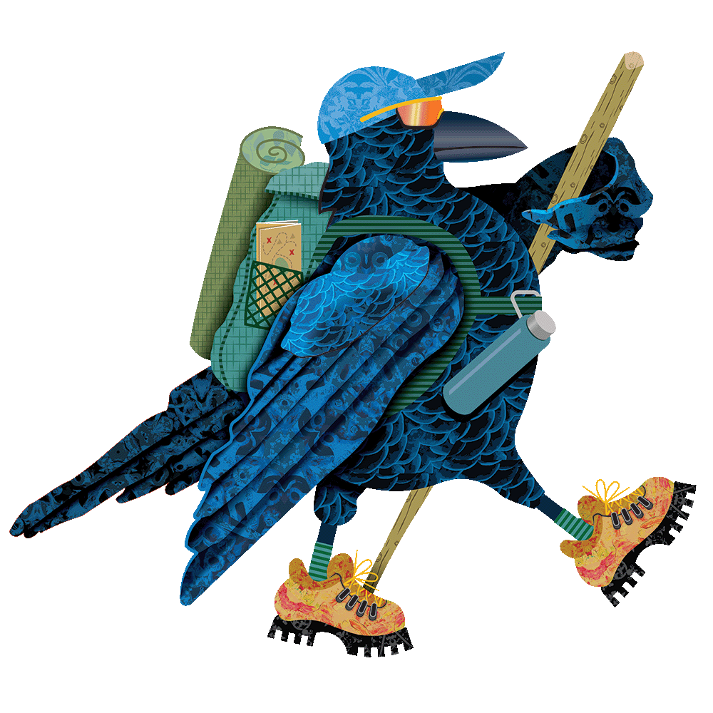 Hiking Crow Hiking Crow