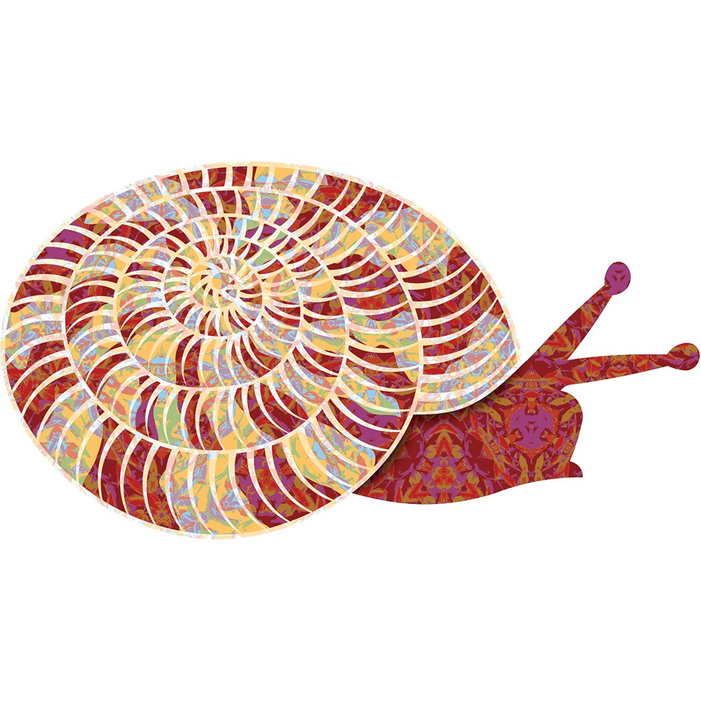 Snazzy Snail Snazzy Snail