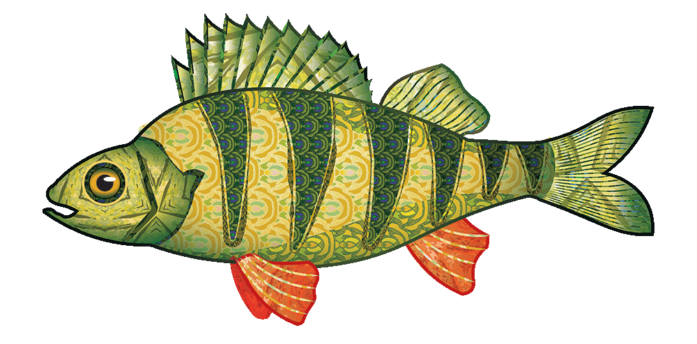 Perch