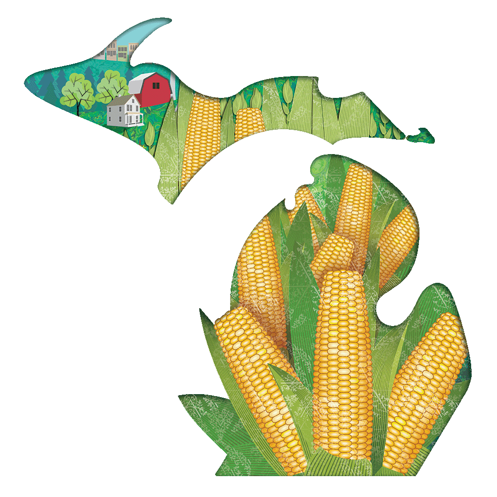 Corn crop in the state shape of Michigan