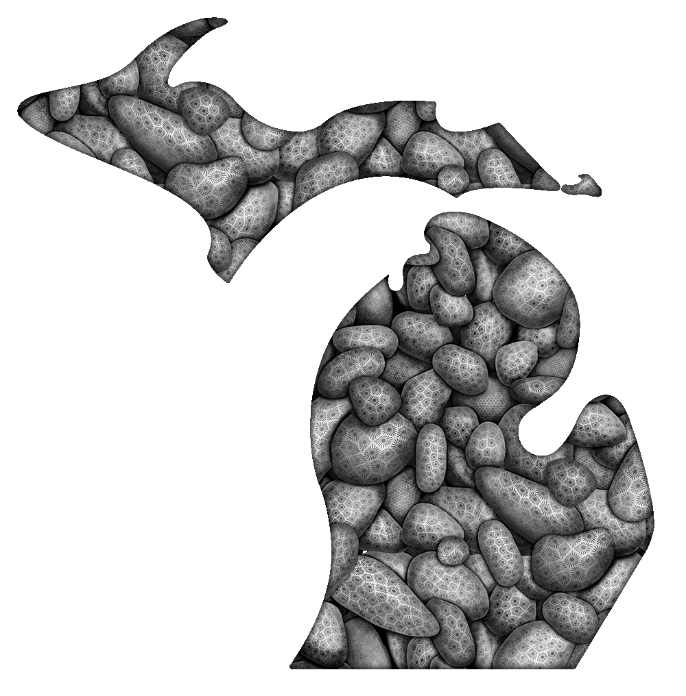 Michigan Charlevoix and Petoskey Stones